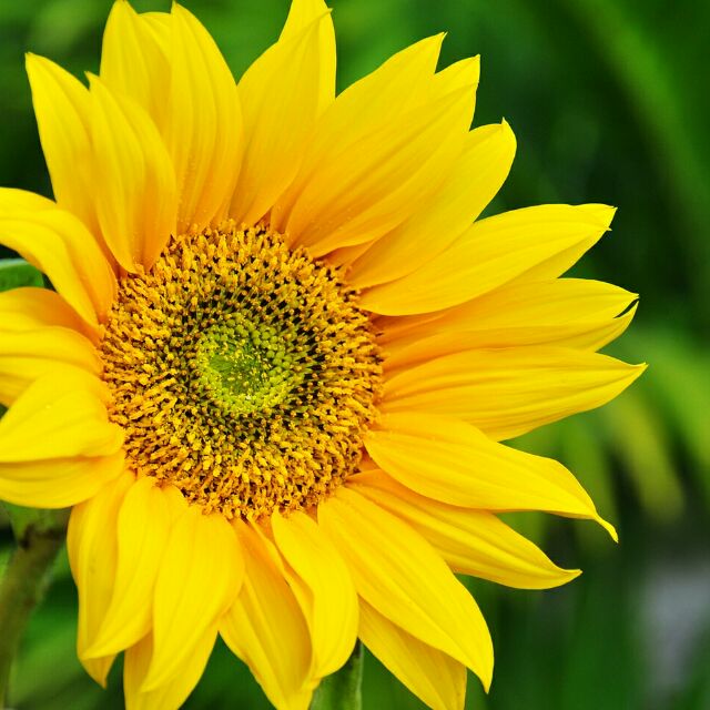 “要想得到你想要的东西，最好的办法是让你自己配得上它。”