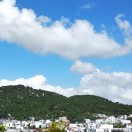 瓜保熟吗
