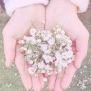 顺其自然