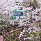 走在风雨中