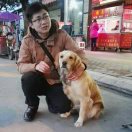 杨 阳