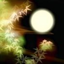 流浪的人