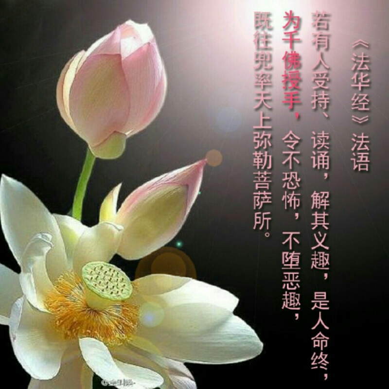 贝贝