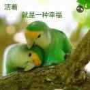千张旧船票