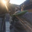 春暖花开