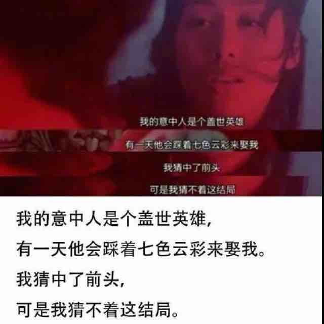 老虎8