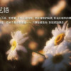 花语