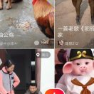 王绿玉