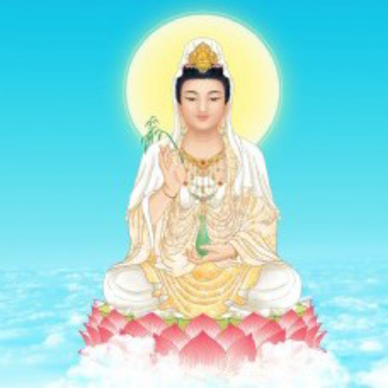 南無觀世音菩萨