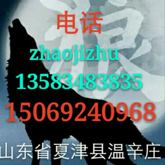 回眸一笑
