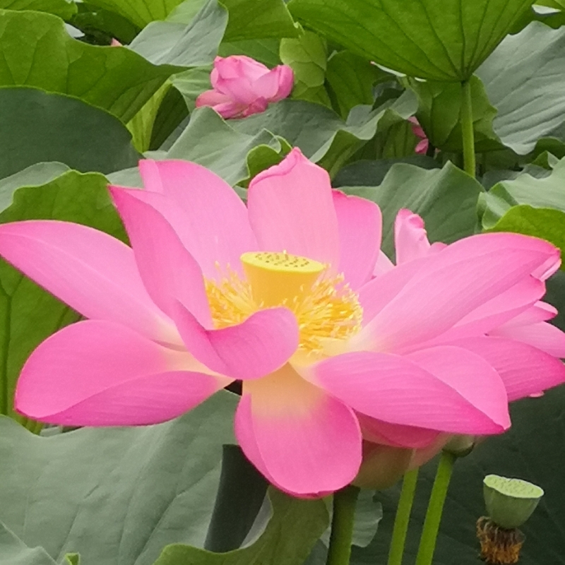 晴空万里如沐春风