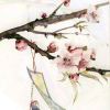 白痴吖