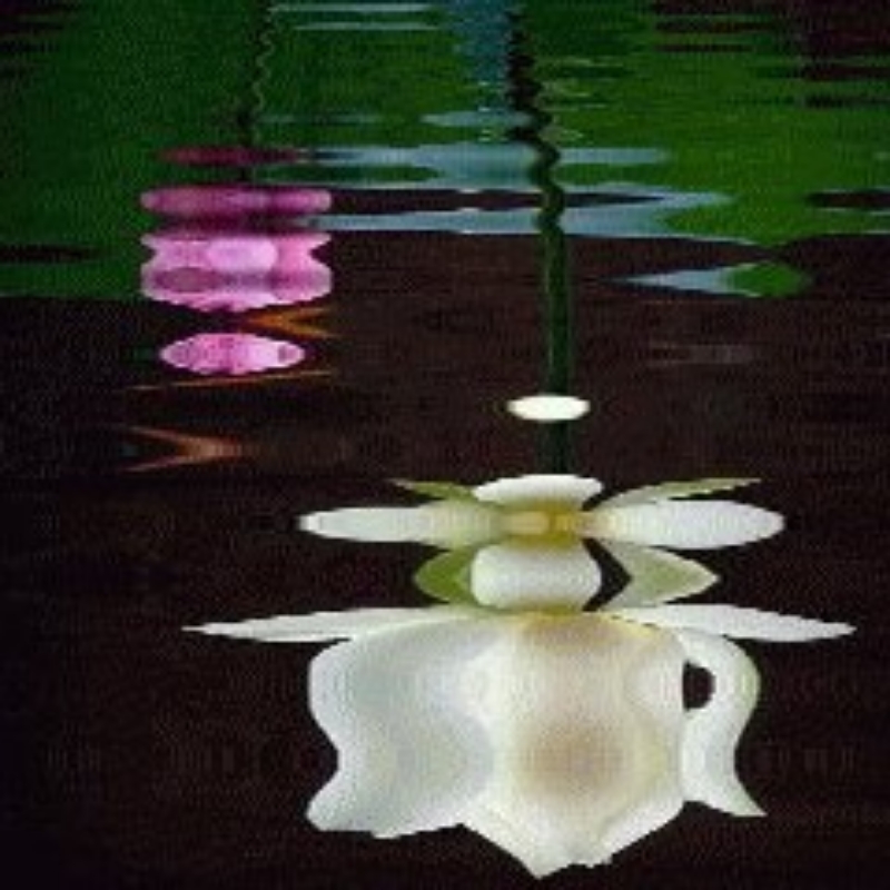 ༺༃࿅࿆憂༒傷࿅࿆༃༻
