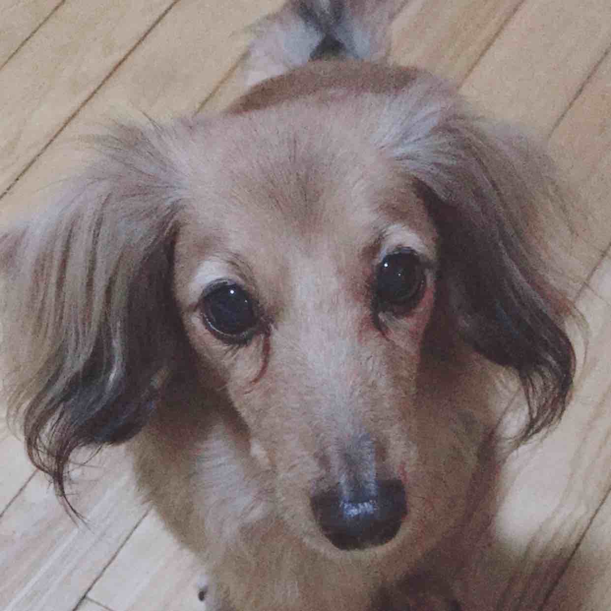 Bruce 潘