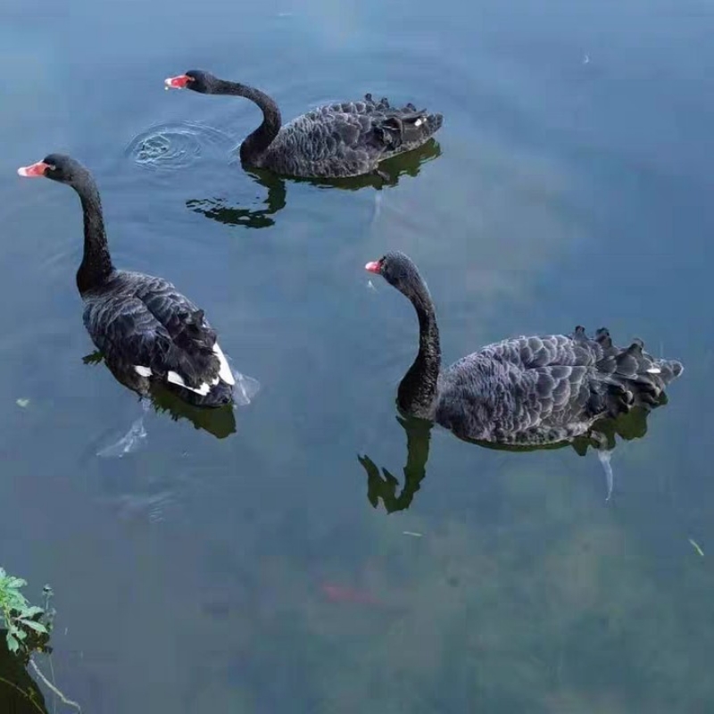 等等马上