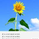承诺1230