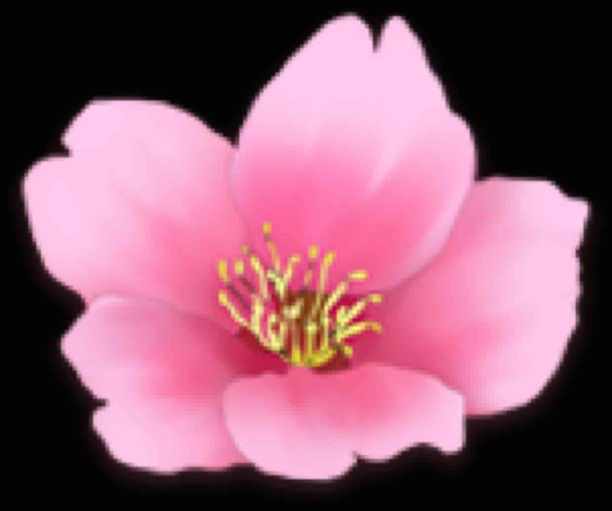 三分醉美