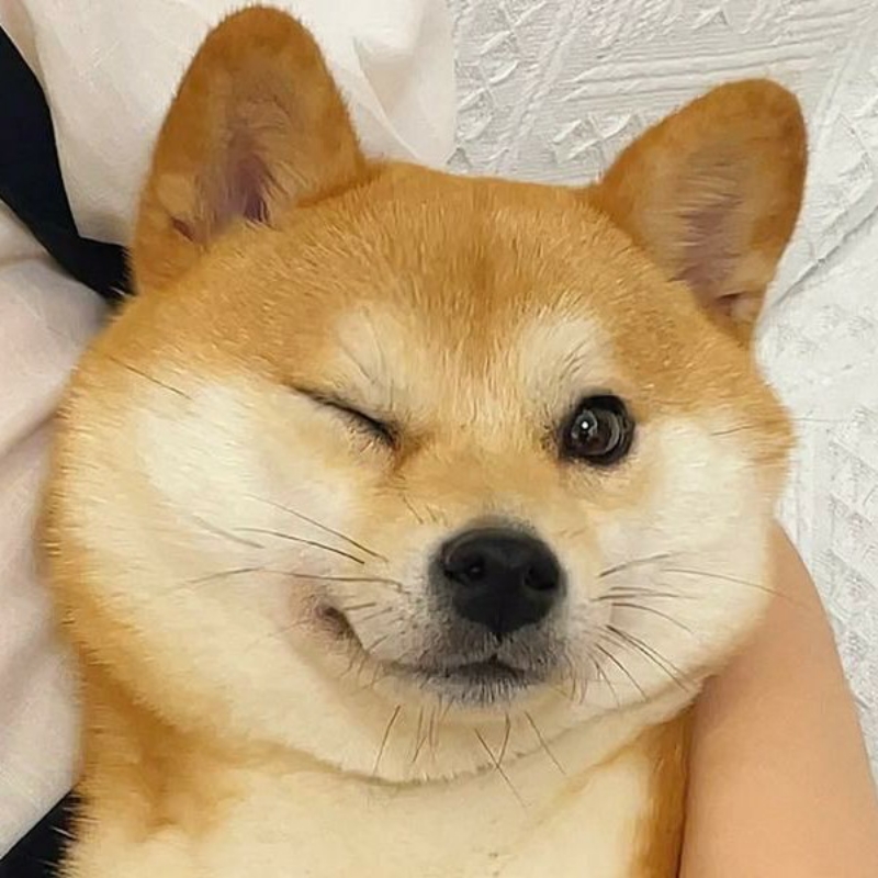 路人阿东