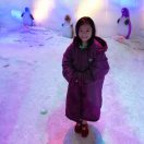 可口可乐了看看酷兔兔