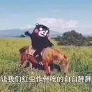 ?레몬 ?