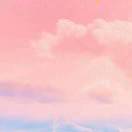 文