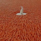 走心那 不走心哪