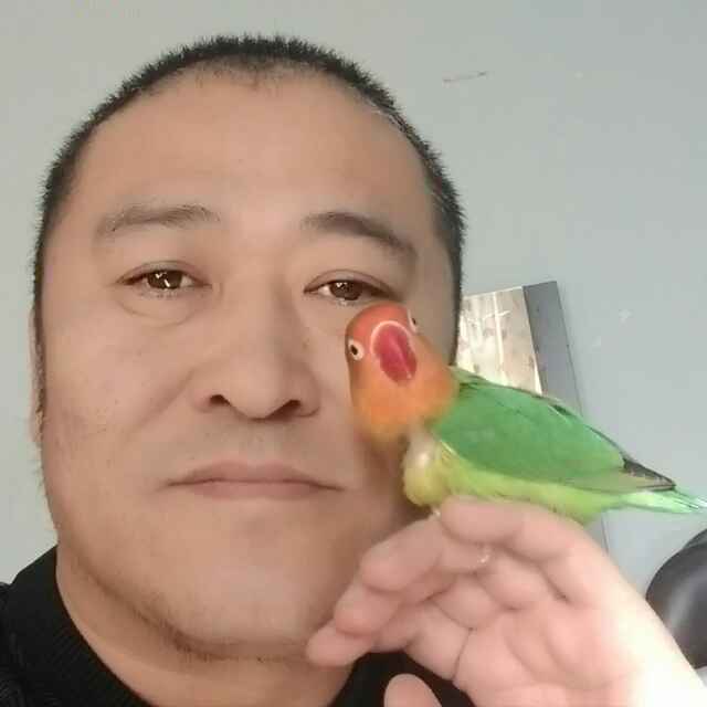 漫步