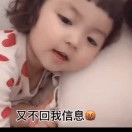 哈里迪迪