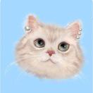 丢了一只戴珍珠耳环的猫猫