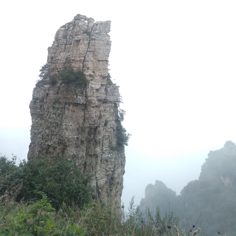 A股涨停