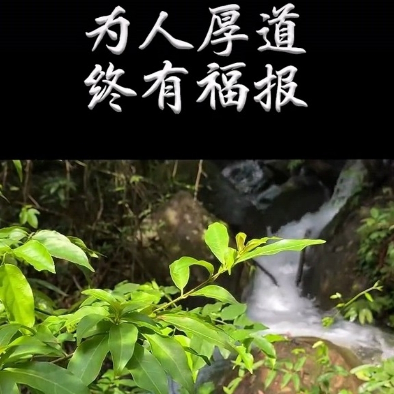 风火轮
