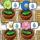 5367226