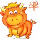 老黄牛