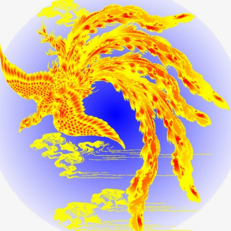 一本华书
