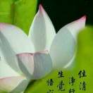 杨静理疗养生店
