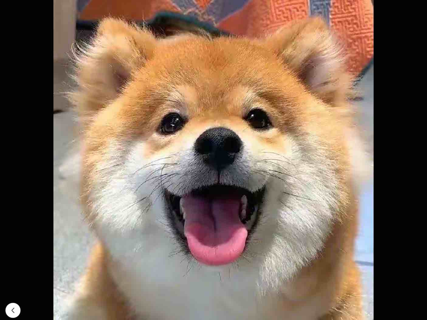 YY月月YY