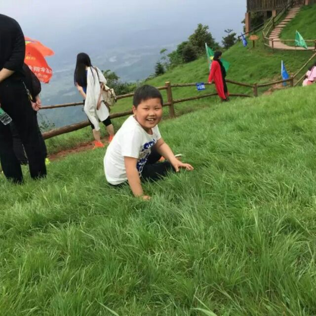 踏雪寻梅