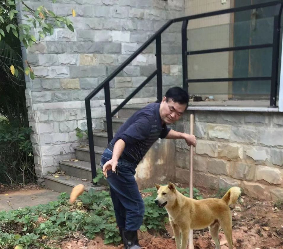 云起疑无我