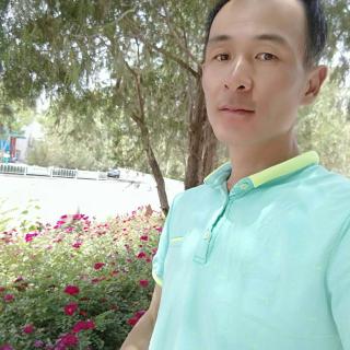 龙在天涯