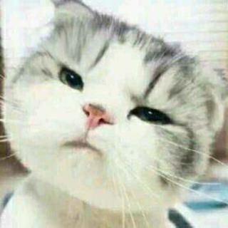李某