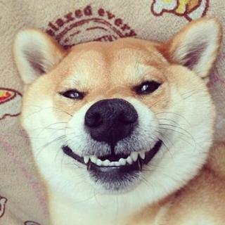 梧桐