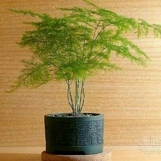 爱步
