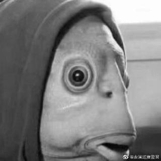 白熊先生