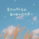 向光而行
