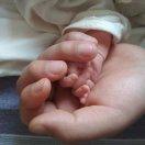 解甲与你共长生