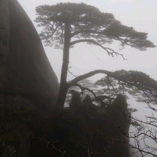 郭荣