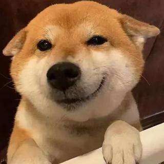 蜡笔小新年快乐不思蜀