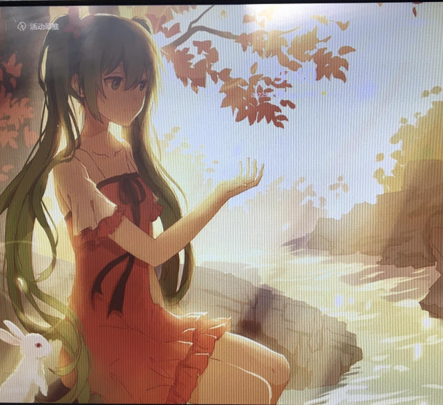 桃李芳菲梨花俏
