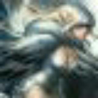 哈士奇与香辛料