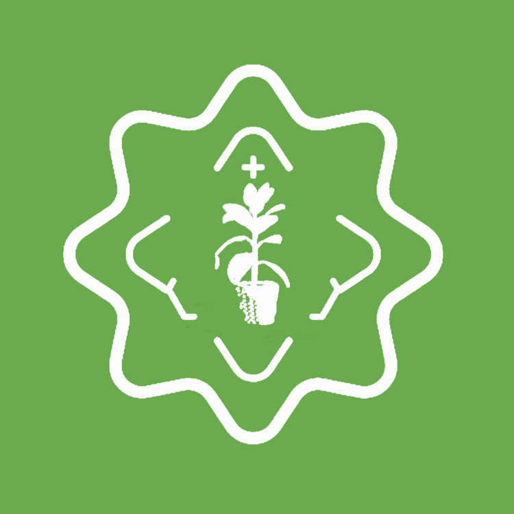 孟晋旭